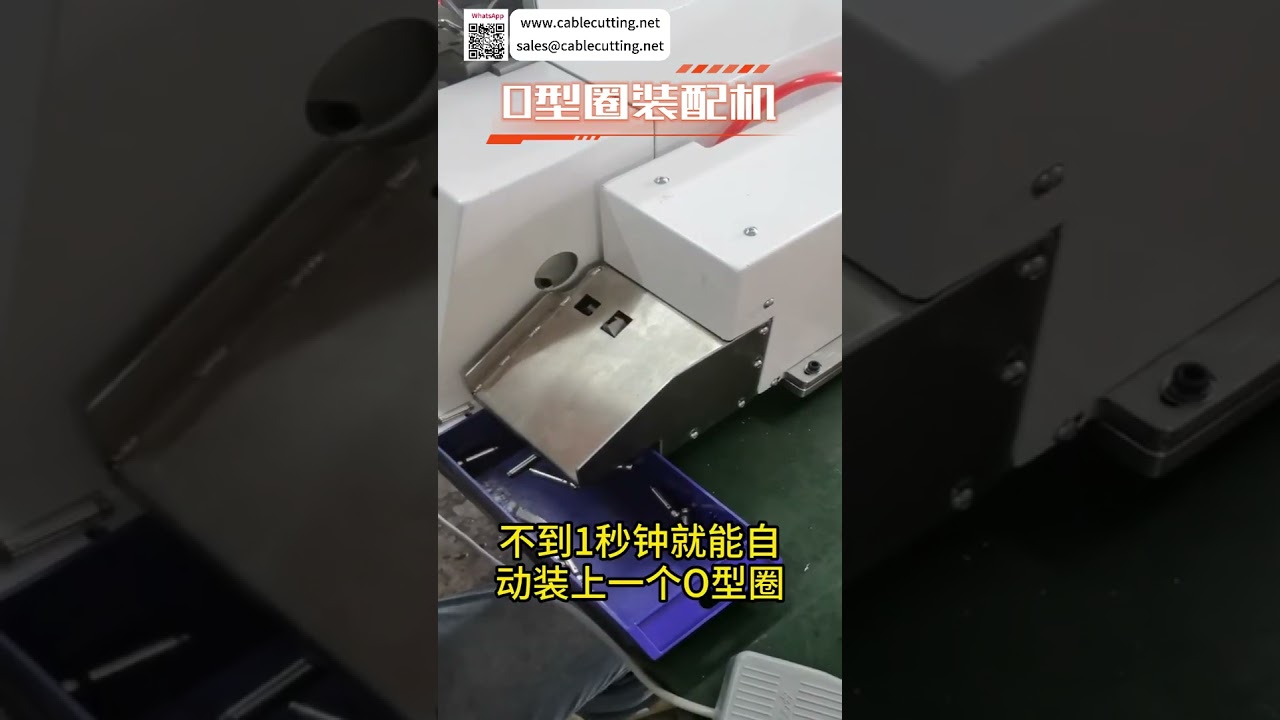 스마트 O링 조립기 | 고효율 자동 실링링 생산 라인