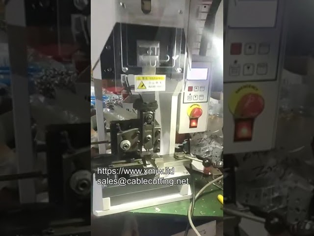 2t 3t 4t 8t 올디지털 스마트 터미널 머신 (LCD 스크린 탑재)