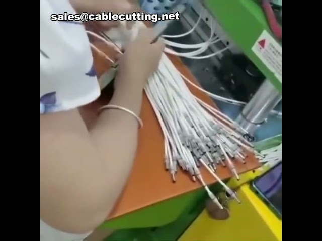 케이블 사출 성형기 | 플라스틱 사출기 | 데이터 케이블 사출기 mp4