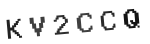 Verification Code Image