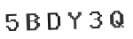 Verification Code Image